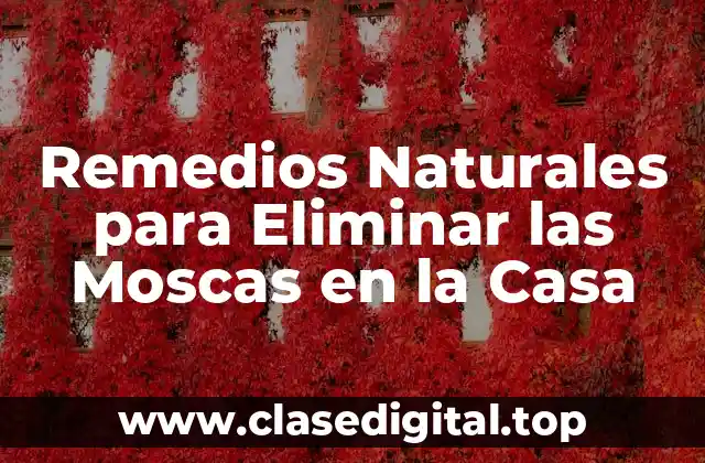 Remedios Naturales para Eliminar las Moscas en la Casa