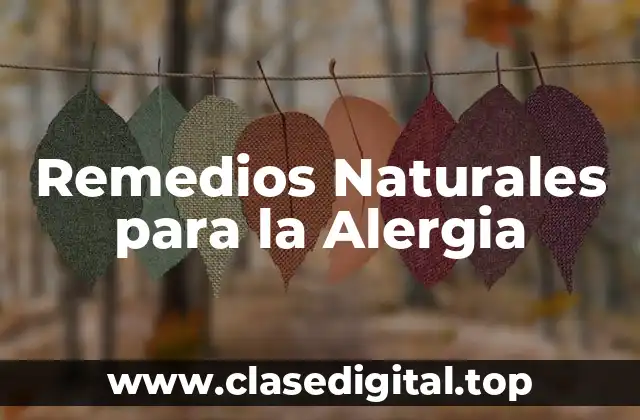 ¿Qué es una Alergia y Cómo se Desarrolla?