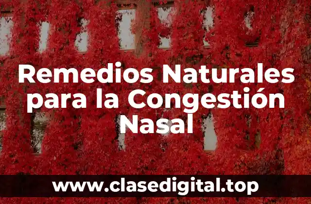 Remedios Naturales para la Congestión Nasal