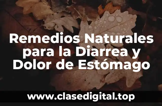 ¿Cuáles son las Causas más Comunes de la Diarrea y el Dolor de Estómago?