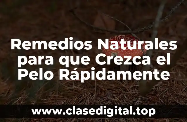 Remedios Naturales para que Crezca el Pelo Rápidamente