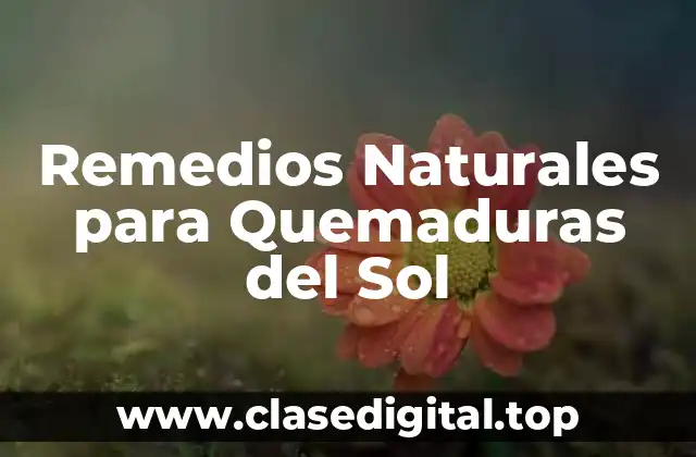 Remedios Naturales para Quemaduras del Sol