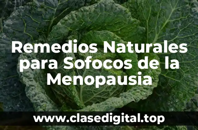 Causas de los Sofocos de la Menopausia