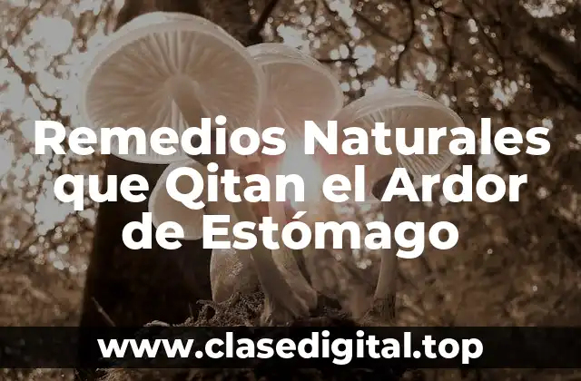 Remedios Naturales que Qitan el Ardor de Estómago