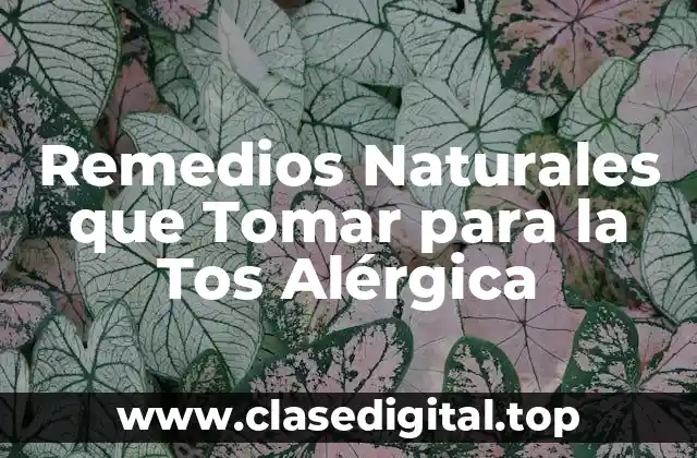 Remedios Naturales que Tomar para la Tos Alérgica