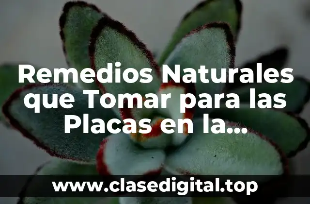 Remedios Naturales que Tomar para las Placas en la Garganta
