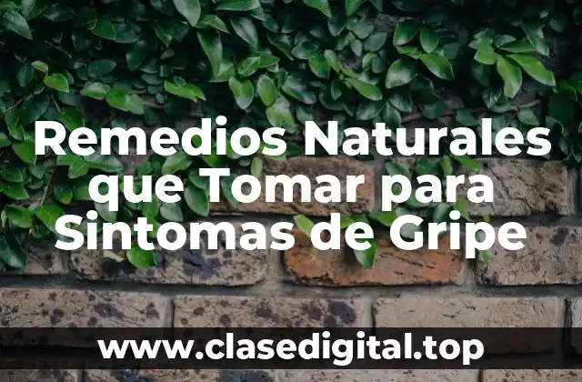 ¿Qué Causa la Gripe y Cómo se Propaga?