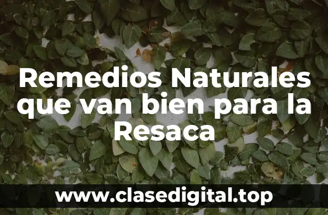¿Por qué es importante elegir remedios naturales para la resaca?
