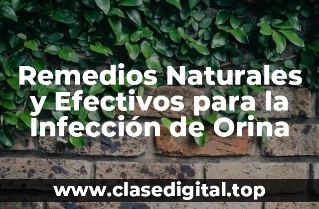 Remedios Naturales y Efectivos para la Infección de Orina
