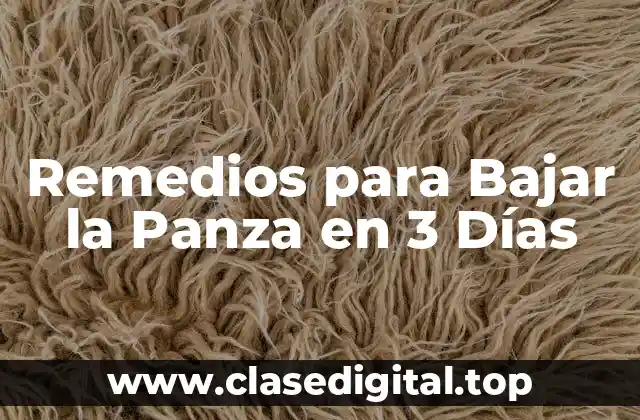 Remedios para Bajar la Panza en 3 Días