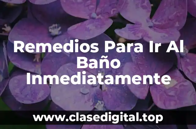 Remedios Para Ir Al Baño Inmediatamente