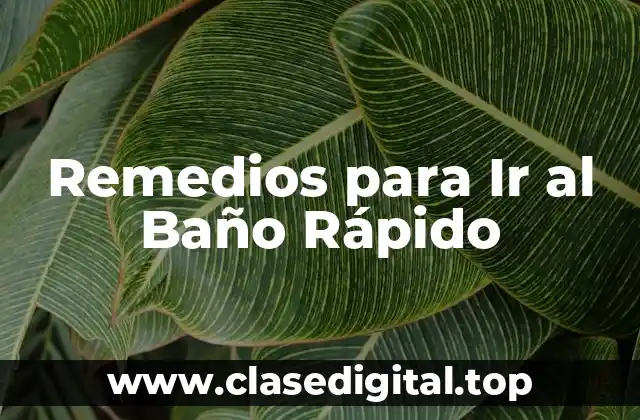 Remedios para Ir al Baño Rápido