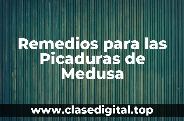 Remedios para las Picaduras de Medusa