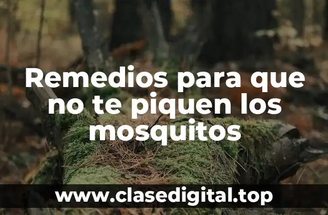 Remedios para que no te piquen los mosquitos