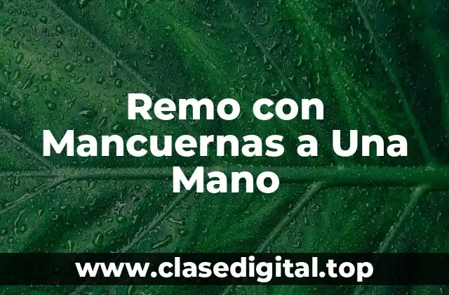 Remo con Mancuernas a Una Mano