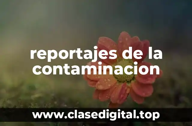 reportajes de la contaminacion