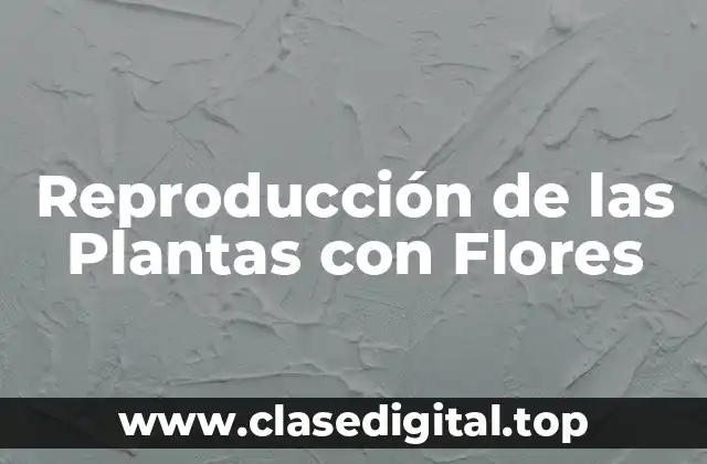 Reproducción de las Plantas con Flores