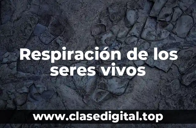 Respiración de los seres vivos