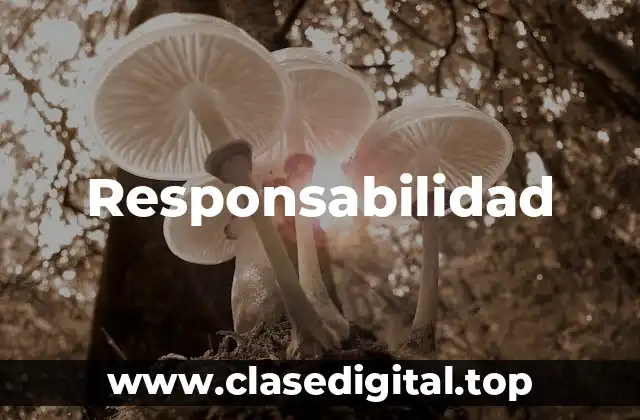 Responsabilidad