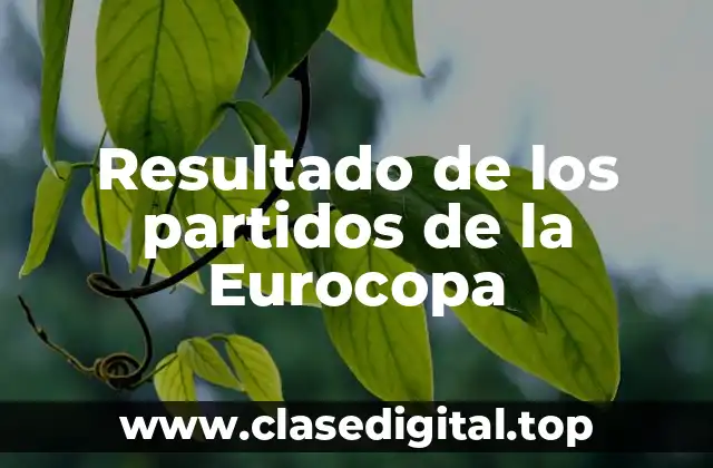 Resultado de los partidos de la Eurocopa