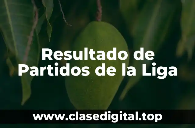 Resultado de Partidos de la Liga