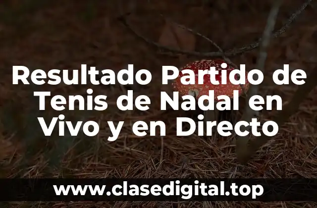 Resultado Partido de Tenis de Nadal en Vivo y en Directo