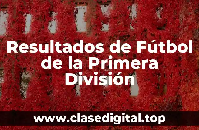 ¿Qué es la Primera División en el Fútbol?