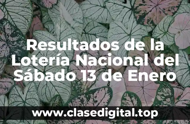 Resultados de la Lotería Nacional del Sábado 13 de Enero
