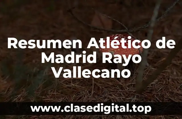 Resumen Atlético de Madrid Rayo Vallecano