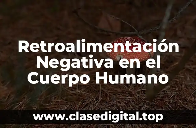 Retroalimentación Negativa en el Cuerpo Humano
