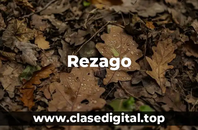 Definición técnica de Rezago