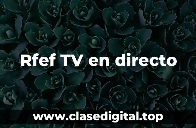Rfef TV en directo