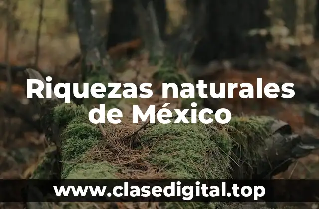 Riquezas naturales de México