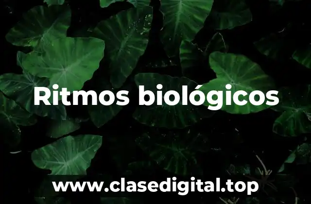 Ritmos biológicos