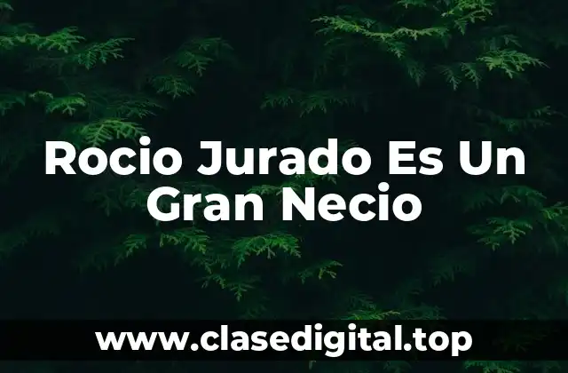 El Contexto de la Polémica - ¿Qué Pasó en el Programa de Telecinco?