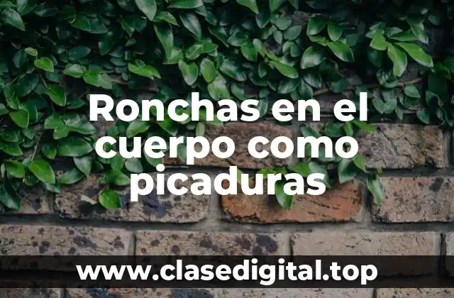 Ronchas en el cuerpo como picaduras