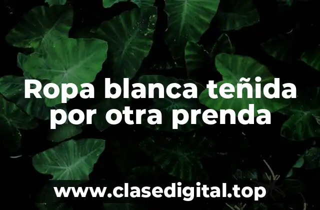 Ropa blanca teñida por otra prenda
