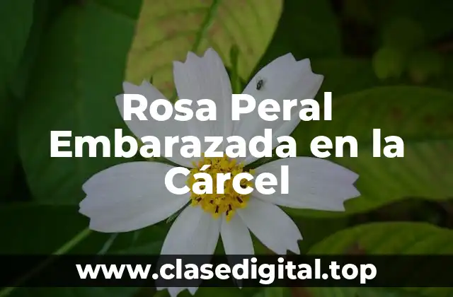 Rosa Peral Embarazada en la Cárcel