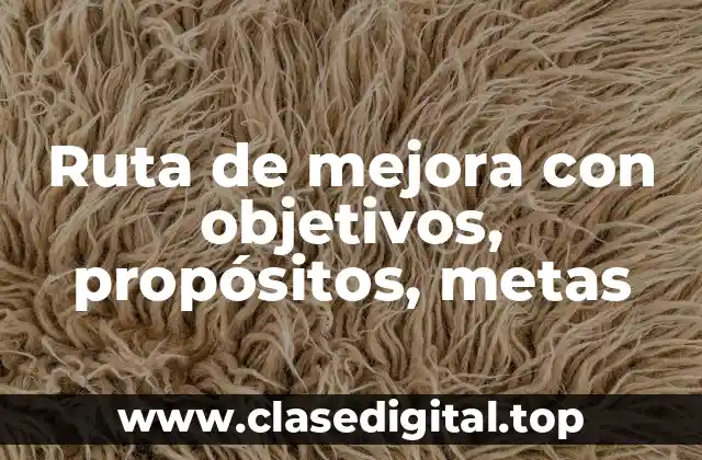 Ruta de mejora con objetivos, propósitos, metas
