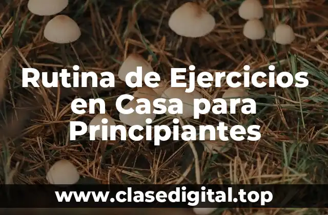 ¿Por qué Es Importante Tener una Rutina de Ejercicios en Casa?