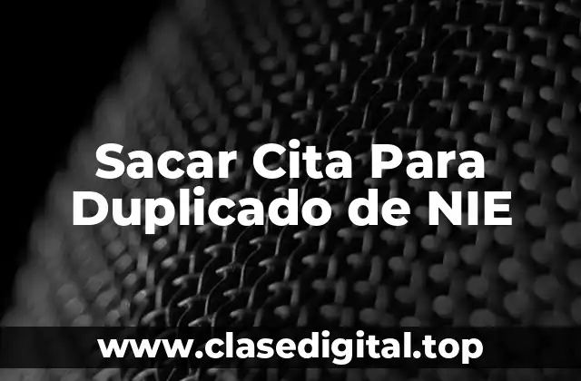 Sacar Cita Para Duplicado de NIE