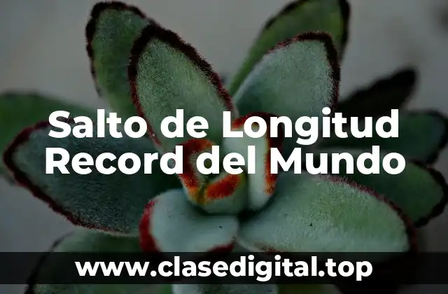 Salto de Longitud Record del Mundo