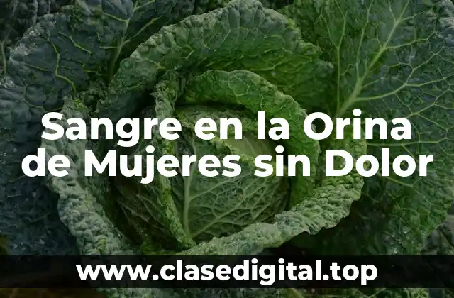 Sangre en la Orina de Mujeres sin Dolor