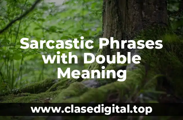 Sarcastic Phrases with Double Meaning