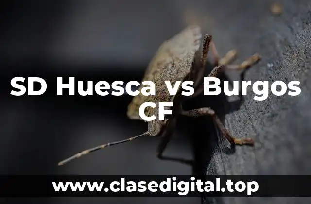 Historia de la SD Huesca