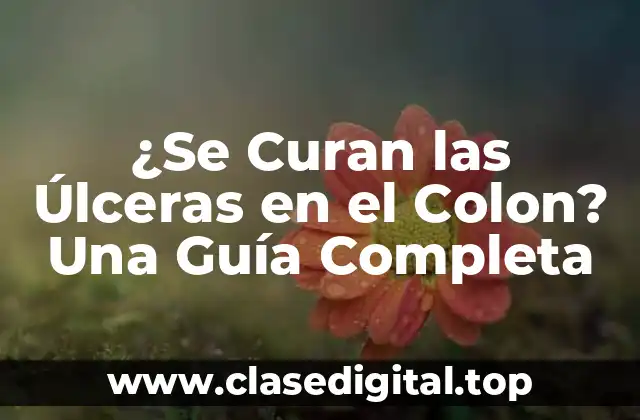 ¿Se Curan las Úlceras en el Colon? Una Guía Completa