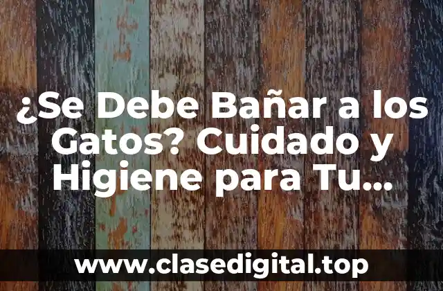 ¿Por qué los Gatos Necesitan un Baño?