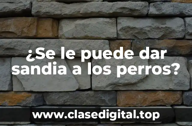 ¿Se le puede dar sandia a los perros?