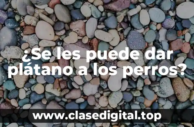 ¿Se les puede dar plátano a los perros?