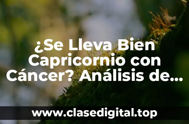 ¿Se Lleva Bien Capricornio con Cáncer? Análisis de la Compatibilidad Astrología